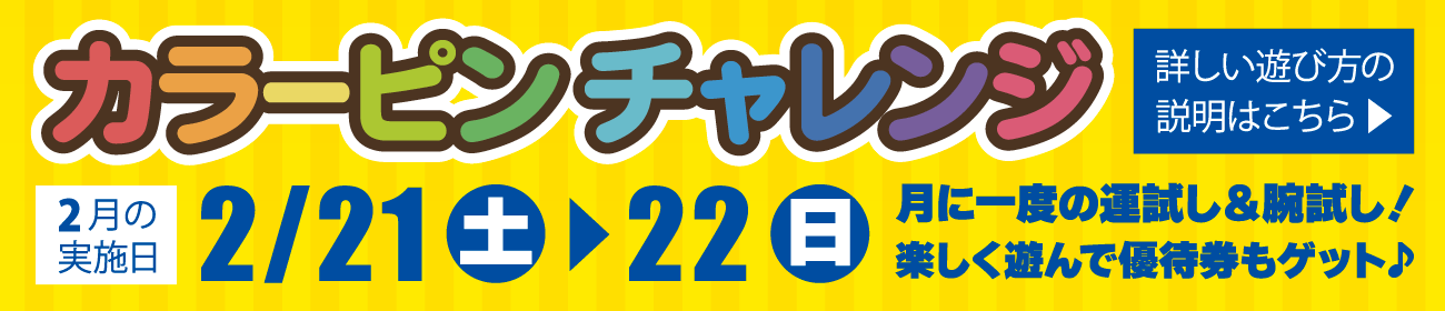 カラーピンチャレンジ